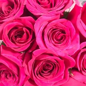 Meet your Posher, Raquel